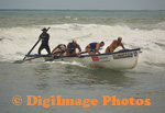 Surf 
                  
 
 
 
 Boats Piha     09     8320